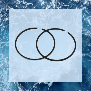 Anillos