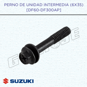 PERNO DE UNIDAD INTERMEDIA (6X35)[DF60A-DF300AP]