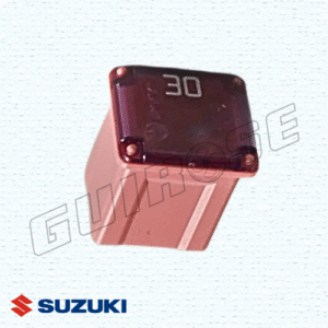 FUSIBLE (30A)